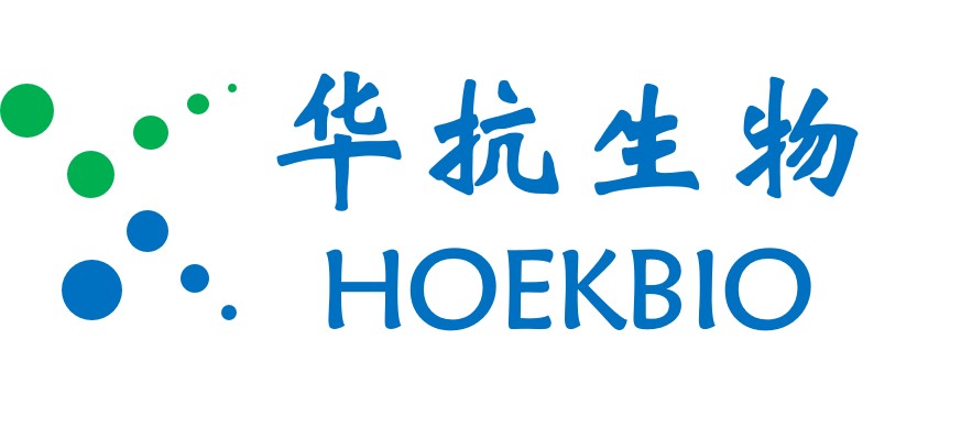 全长抗体表达-华抗生物（HOEKBIO）